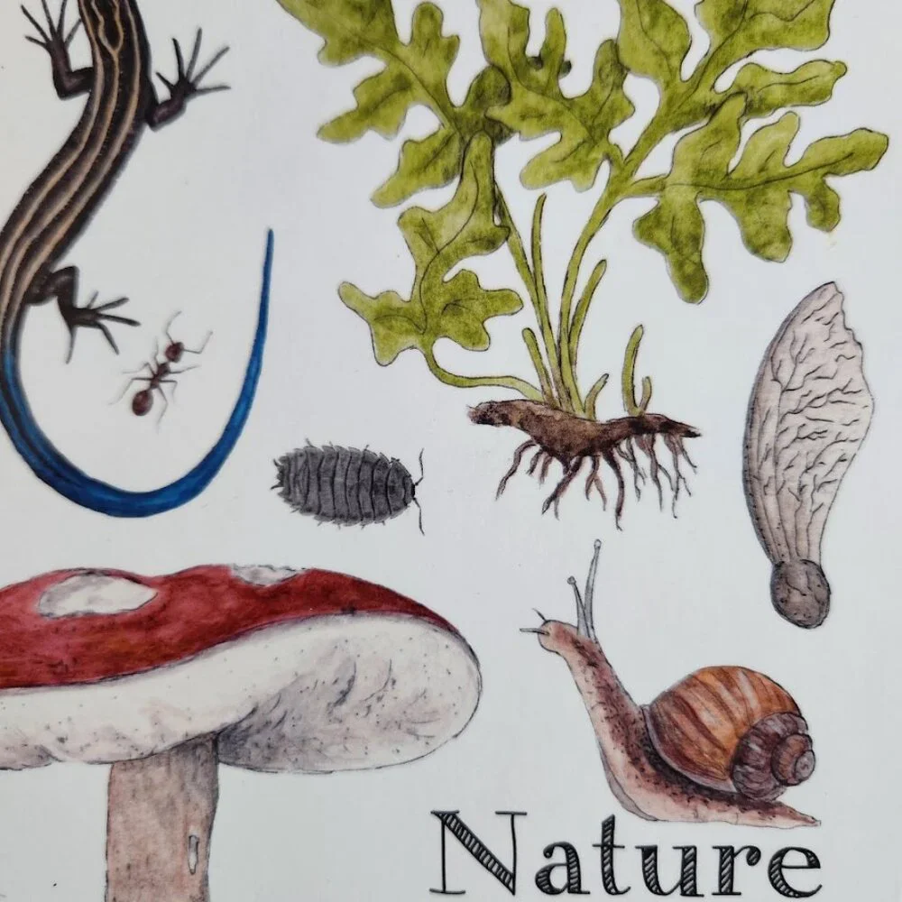 NEW Nature Journal for Kids Activity Book Notebook Hardcover Book Birdwatching B